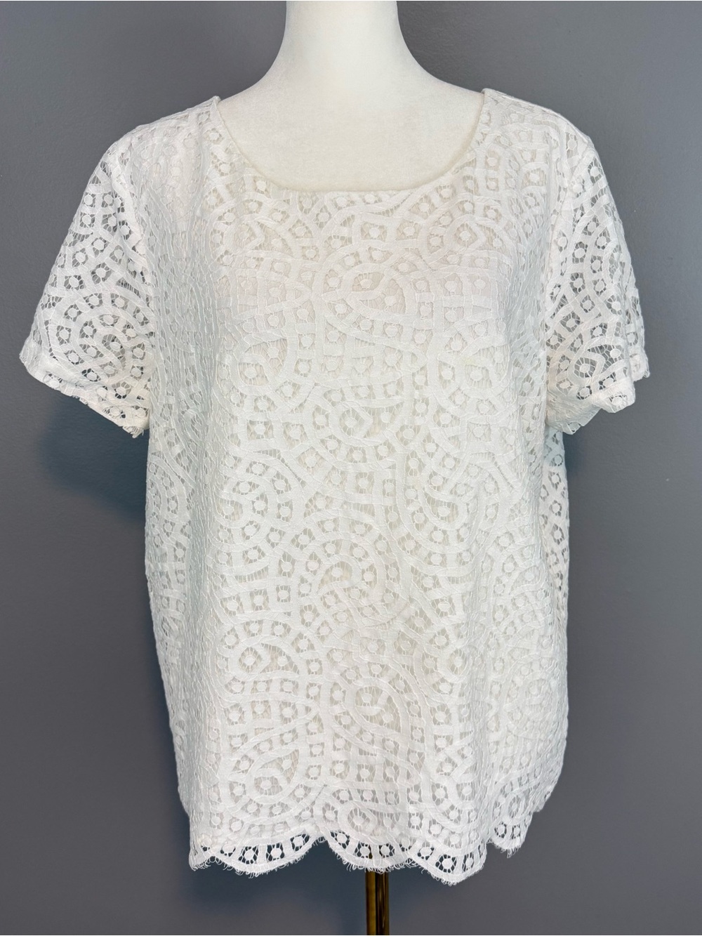 J.Crew Factory White Lace Overlay Top Size 14 Large Cotton Short Sleeve Cottage